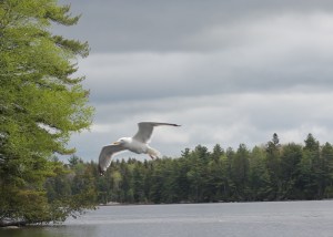 IMG_2571