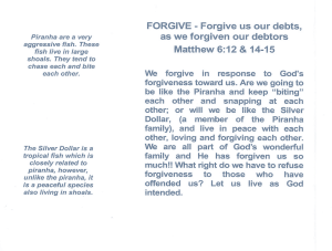 Picture15