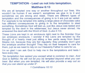 Picture17