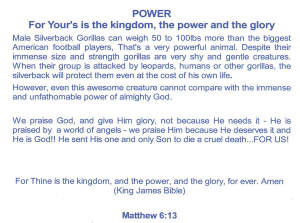 Picture19