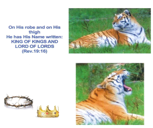 Picture6